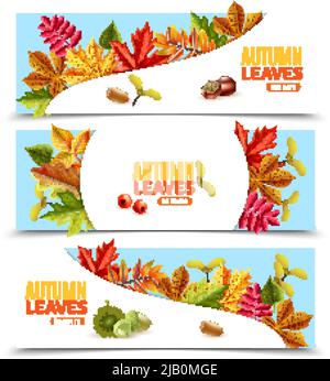 Horizontale flache Banner mit Herbstblättern Kastanien Beeren und Eicheln isoliert auf weißem Hintergrund Vektor-Illustration Stock Vektor