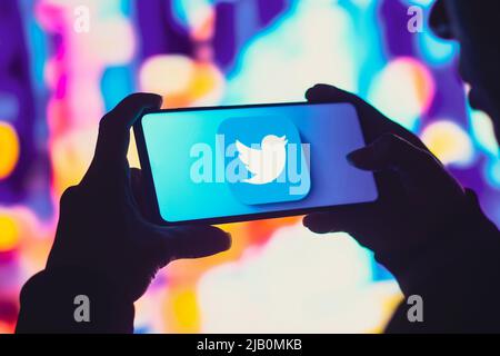 Brasilien. 01.. Juni 2022. In dieser Abbildung hält eine Frau mit Silhouetten ein Smartphone mit dem Twitter-Logo auf dem Bildschirm. (Foto von Rafael Henrique/SOPA Images/Sipa USA) Quelle: SIPA USA/Alamy Live News Stockfoto