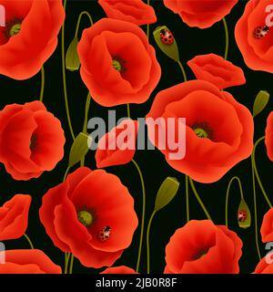 Nahtlose romantische Blumenmuster von Mohn Blumen und Marienkäfer-Vektor-illustration Stock Vektor