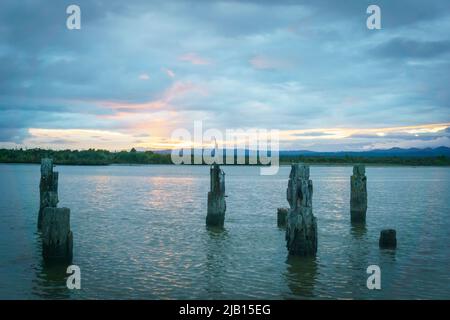 Blick über die Bucht und die alten Hafenpfosten in der Abenddämmerung am bewölkten Abend im Okarito New Zealand. Stockfoto