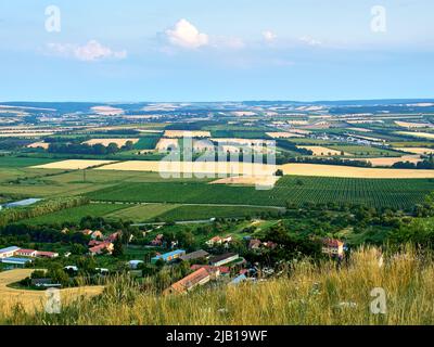 Ein Blick auf die landwirtschaftliche Landschaft Südmährens um Mikulov und Pálava. Felder und Weinberge unter blauem Sommerhimmel. Für Touristen geeignet Stockfoto