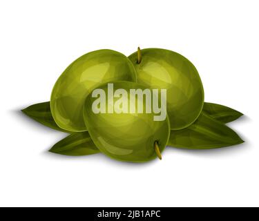 Pflanzliche Bio-Lebensmittel grünen Olivenbeeren auf weißem Hintergrund Vektor-Illustration isoliert gesetzt Stock Vektor