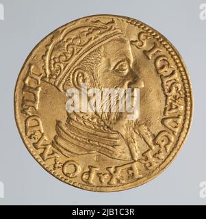 Sigismund 2 Augustus [1544 (1548) 1572], Litauische Führung, Vilnius; 1563 Zygmunt II. August, Münzstätte Vilnius Stockfoto