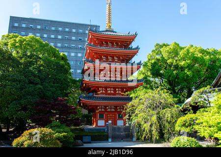 Fukuoka, JAPAN - Apr 6 2021: Pagode (Gojunotou) in Tocho-ji, dem ältesten Shingon-Tempel in Kyushu, der 806 von einem buddhistischen Mönch Kukai an sonnigen Tagen gegründet wurde Stockfoto