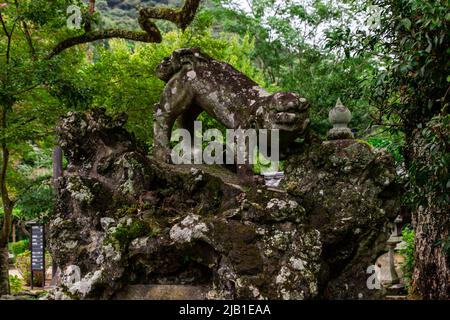 Komainu Hundestatue auf dem Felsen mit Moos im Kikko-Schrein. Komainu ist die Paare von löwenähnlichen Kreaturen, die entweder den Eingang des Schreins bewachen Stockfoto