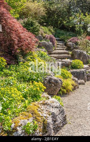 Frühling in den Gärten von Sizergh Castle im englischen Lake District in der Nähe von Kendal, Cumbria, England Stockfoto