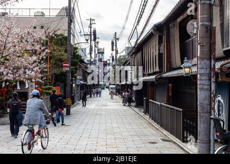 Shinbashi Dori Street, bekannt als traditionelles Geisha-Viertel, mit Sakura-Kirschblüte im Frühling. Es gibt traditionelle Ochaya und die Leute tragen Kimono Stockfoto