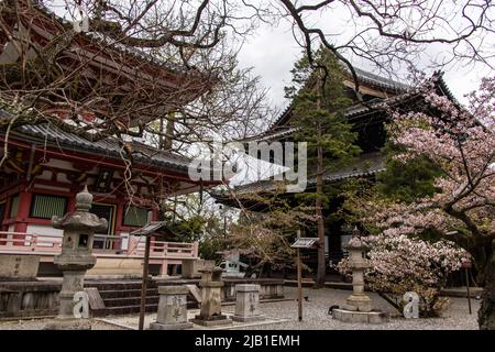 Kyoto, JAPAN - Apr 3 2021 : Tahoutou und Amidado im Chion-in Tempel (Kloster der Dankbarkeit). Übersetzung : Votivopfer, Weizenopfer Stockfoto