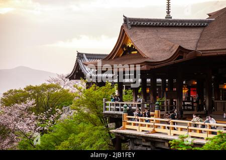 Otowa-san Kiyomizu Dera Tempel, ein berühmter buddhistischer Tempel im Osten von Kyoto (Higashiyama ward), bei Sonnenuntergang im Frühjahr mit Sakura-fröhlicher Blüte. Stockfoto