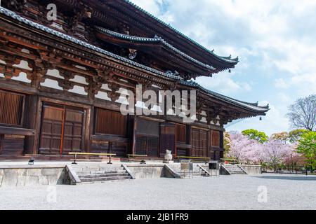 Alte Goldene Halle (Kondo) mit Kirschblüte in Toji im Frühling. To-ji ist ein Shingon buddhistischer Tempel, der 796 in der Minami-ku-Abteilung von Kyo gefunden wurde Stockfoto