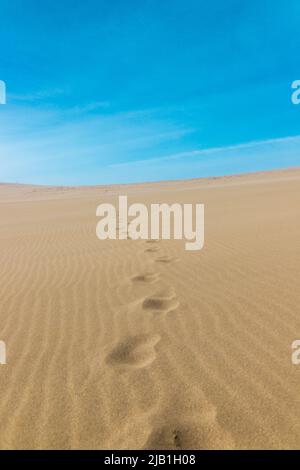 Fußabdrücke auf trockenem Wüstengebiet mit niemand an sonnigen Tagen, Tottori Sand Dunes. Stockfoto