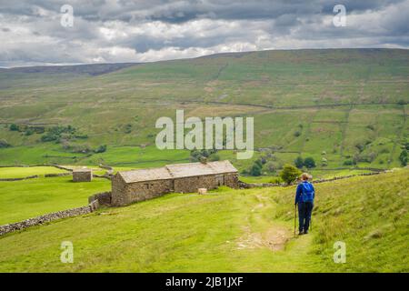 Auf dem Pennine Way zwischen Keld und Muker in Swaledale in den Yorkshire Dales Stockfoto