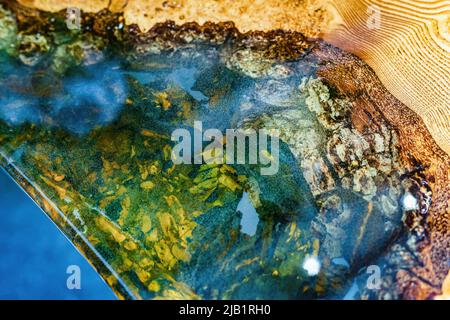 Tisch aus Epoxidharz mit transparenten Einsätzen und Holzsockel. Stockfoto