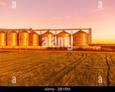 Körnerelevator. Metallkornaufzug in der landwirtschaftlichen Zone. Landwirtschaftliche Lagerung für die Ernte. Getreidesilos auf grünem Naturhintergrund. Außenansicht von Stockfoto