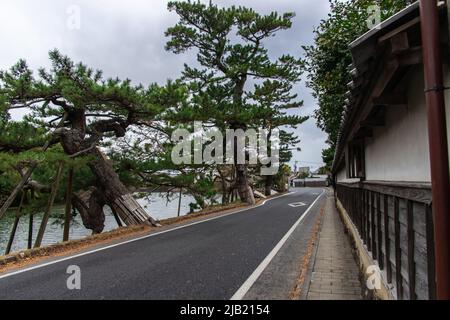 Die Shiomi Nawate Street an bewölktem Tag, Matsue, Shimane, Japan. Es ist eine 500 Meter lange Straße entlang des Burggrabens von Matsue, die von Traditi gesäumt ist Stockfoto