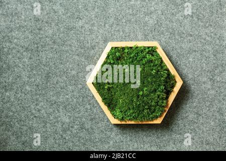 Stabilisiertes Moos in einer sechseckigen Holzkiste. Umweltfreundliche Innenausstattung. Stockfoto