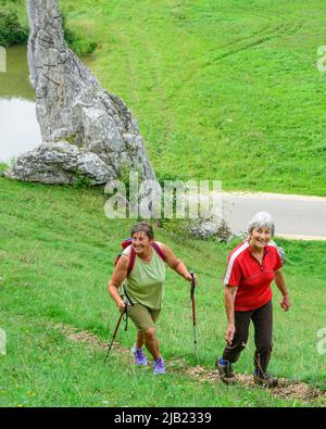 Gut behöhte Senioren wandern in idyllischer Natur Stockfoto