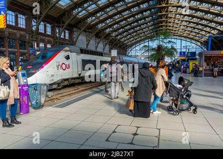 Lille, Frankreich, viele Touristen im TGV-Bahnhof, Bahnsteig, Eurolille, inOui Stockfoto