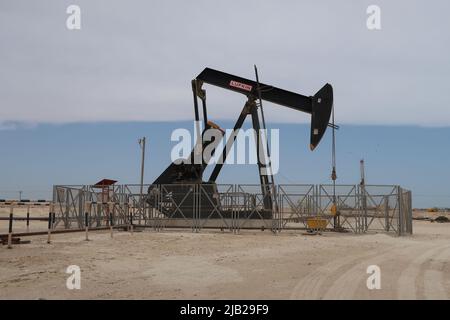 Pumpenheber, nickender Esel, Bahrain Stockfoto