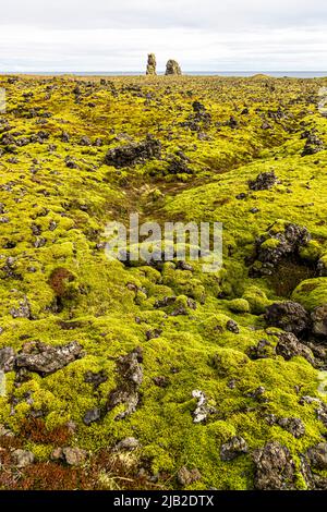 Lóndrangar, ein Paar natürlicher Türme mit Blick auf den Ozean, bestehend aus Basalt-vulkanischen Materialien. Island Stockfoto