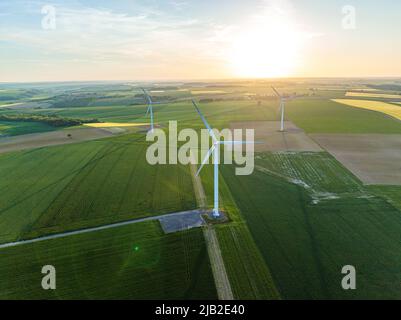 Weizenfelder mit Windturbinen im Sommer aus der Vogelperspektive. Eolianische Generatoren sind auf einem wunderschönen grünen Feld zu sehen. Bauernhof der äolischen Turbinen. Stockfoto