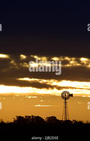 Windmühle bei Sonnenuntergang in der argentinischen Landschaft, Provinz Pampas, Patagonien, Argentinien. Stockfoto