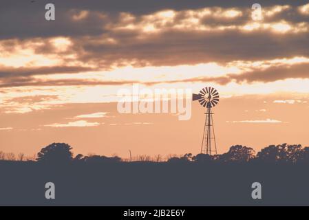 Windmühle bei Sonnenuntergang in der argentinischen Landschaft, Provinz Pampas, Patagonien, Argentinien. Stockfoto