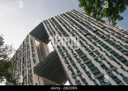 Das Pinnacle@Duxton ist ein 50-stöckiges Wohngebäude in Singapur. Sieben miteinander verbundene Türme bilden das höchste öffentliche Wohngebäude der Welt. Stockfoto