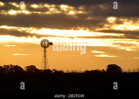 Windmühle bei Sonnenuntergang in der argentinischen Landschaft, Provinz Pampas, Patagonien, Argentinien. Stockfoto