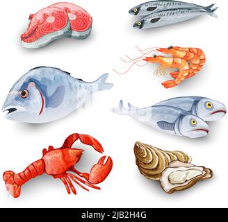 Meeresfrüchte-Produkte Set mit Lachs Steak Garnelen Garnelen Fisch Krabben isoliert Vektor-Illustration Stock Vektor