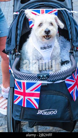 london 2 June 2022, Central London war vollgepackt mit Leuten, die das Queens Platin-Jubiläum 2020 feierten, alle waren in gutem Miid und trugen das rot-blaue und weiße Bild: Paul Quezada-Neiman/Alamy Live News Stockfoto