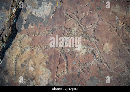 Gezeichnete Figuren auf der Steinmauer. Felsmalerei in Berg der Republik Altai, Russland Stockfoto