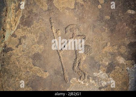 Gezeichnete Figuren auf der Steinmauer. Felsmalerei in Berg der Republik Altai, Russland Stockfoto