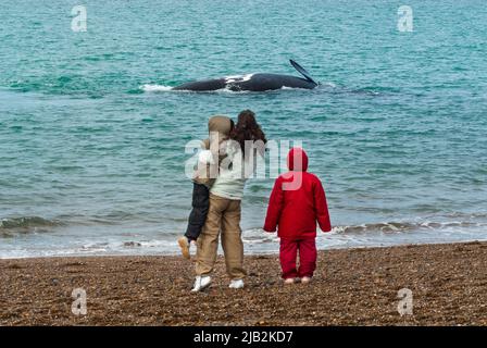 Touristen, die Wale vom Strand aus beobachten, Südliche Rechtswale (Eubalaena Australis) springen, Peninsula Valdes, UNESCO-Weltkulturerbe, Patagonien, Stockfoto