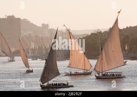 Ägypten, Assuan, Falouka Boote auf dem Nil bei Sonnenuntergang mit dem Stadtzentrum im Hintergrund. Stockfoto