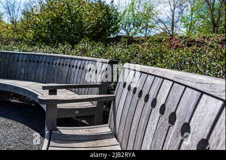 Geschwungene Holzbänke in der RHS Hyde Hall, Wintergarten. Stockfoto