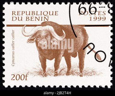 BENIN - UM 1999: Eine in Benin gedruckte Briefmarke aus der 'Säugetiere'-Ausgabe zeigt afrikanische Büffel (Syncerus Caffer Caffer), um 1999. Stockfoto