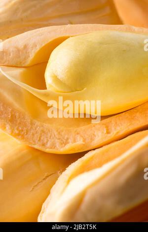 Nahaufnahme von Jackfrucht-Fleisch mit Samen, tropische gesundheitsfördernde Früchte aus Südostasien, aufgenommen in geringer Tiefenschärfe, Makro Stockfoto