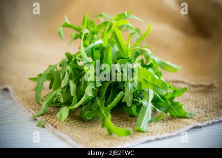 Ein Bund frischer saftiger grüner Rucola auf hellem Holzhintergrund Stockfoto