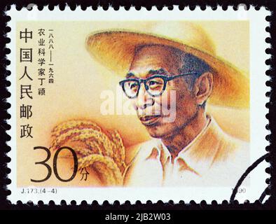 CHINA - UM 1990: Ein in China gedruckter Stempel aus der "Scientists"-Ausgabe zeigt den Landwirt Ding Ying, um 1990. Stockfoto