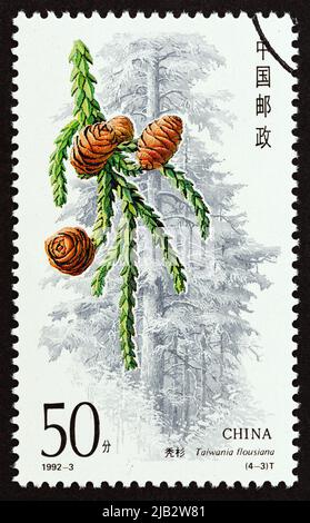 CHINA - UM 1992: Eine in China gedruckte Marke aus der Nadelöfenausgabe zeigt Taiwania flousiana, um 1992. Stockfoto
