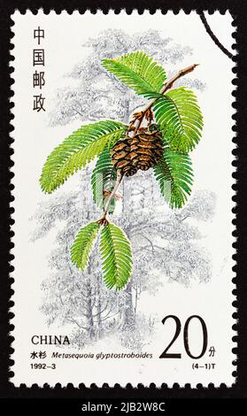 CHINA - UM 1992: Eine in China gedruckte Marke aus der Nadelgehege zeigt Metasequoia glyptostroboides, um 1992. Stockfoto