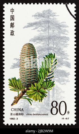 CHINA - UM 1992: Eine in China gedruckte Briefmarke aus der 'Nadelbäume'-Ausgabe zeigt Abies beshanzuensis, um 1992. Stockfoto