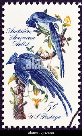 USA - UM 1967: Eine in den USA gedruckte Briefmarke zeigt Columbia Jays von John James Audubon, um 1967. Stockfoto