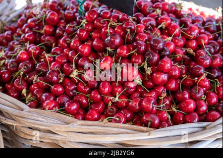 Neue Saison von reifen roten süßen Kirschen Sommerfrüchte, Kirsche zum Verkauf auf dem Bauernmarkt Stockfoto