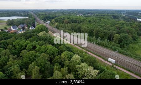 Trainieren Sie im Sommer Morgen Wald bei Sonnenaufgang. Luftaufnahme von Eisenbahnschienen im Wald. Dronen-Ansicht von oben in der Nähe der Eisenbahn. Hochwertige Fotos Stockfoto