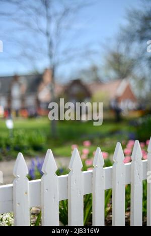 Perfekter weißer amerikanischer Zaun beim Tulip Time Festival in Holland, Michigan Stockfoto