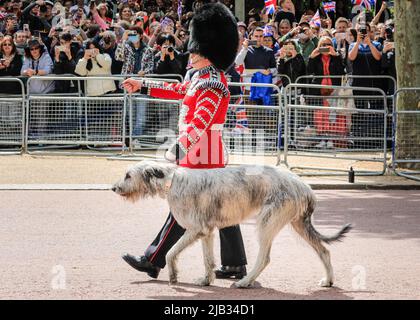 London, Großbritannien. 02.. Juni 2022. Die Irischen Wachen mit ihrem Wolfhundmaskottchen marschieren vorbei. Über 1.400 Paradierende Soldaten, 200 Pferde und 400 Musiker aus 10 Bands feiern in der traditionellen Parade den offiziellen Geburtstag der Queen am Wochenende, an dem auch in diesem Jahr ihr Platin-Jubiläum stattfindet. Die Parade führt die Mall entlang zur Horse Guard's Parade, begleitet von Mitgliedern der königlichen Familie zu Pferd und in der Kutsche und schließt mit dem traditionellen RAF-Vorbeiflug, der von der königlichen Familie vom Balkon des Buckingham Palace aus beobachtet wird. Kredit: Imageplotter/Alamy Live Nachrichten Stockfoto