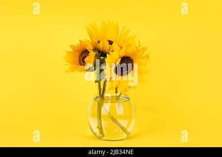 Bouquet von gelben Sonnenblumen in einer Glasvase auf gelbem Hintergrund Stockfoto