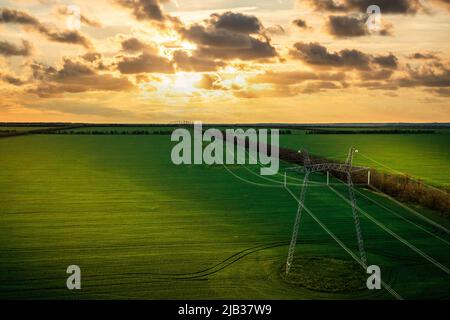 Stromleitung in den Strahlen der untergehenden Sonne durch die grünen Felder Stockfoto